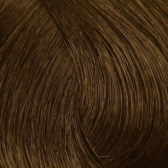 Стойкая профессиональная краска для волос - Goldwell Topchic Hair Color Coloration 8G (Русый золотистый)